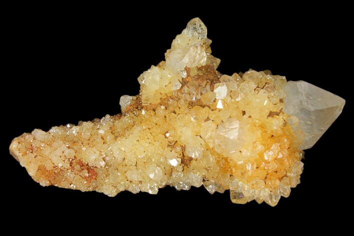 Sunshine Cactus Quartz Crystal - South Africa #122318